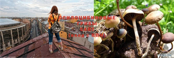 mdpv Нефтекумск